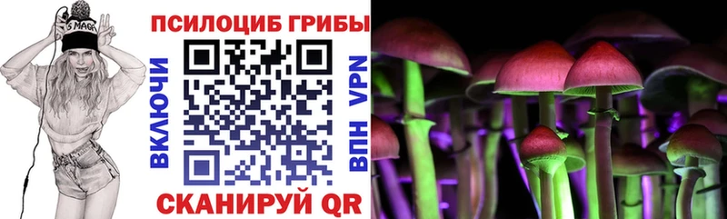 Псилоцибиновые грибы Cubensis  Жигулёвск 